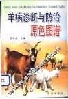 羊病诊断与防治原色图谱 封面