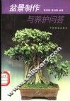 盆景制作与养护问答 封面