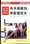 肉羊规模饲养配套技术 封面