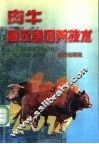 肉牛高效益饲养技术 封面