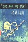 实用高效种菇问答 封面