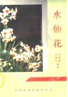 水仙花 封面