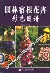 园林宿根花卉彩色图谱 封面