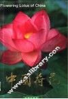 中国荷花  中英文对照 封面