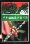 兰花栽培及产业开发 封面