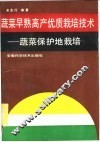 蔬菜早熟高产优质栽培技术  蔬菜保护地栽培 封面