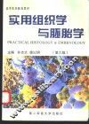 实用组织学与胚胎学 封面