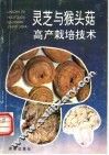 灵芝与猴头菇高产栽培技术 封面