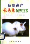 巨型高产长毛兔饲养技术 封面