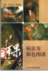 干果病虫害原色图谱 封面