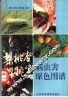 梨  桃  杏  樱桃等病虫害原色图谱 封面