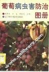 葡萄病虫害防治图册 封面