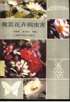 观赏花卉病虫害 封面