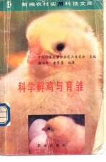 科学孵鸡与育雏 封面
