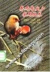养鸡专业户实用技术 封面