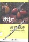 枣树高产栽培 封面