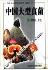 中国大型真菌 封面