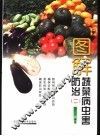 图解蔬菜病虫害防治  2 封面