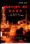 整体煤气化燃气－蒸汽联合循环 IGCC 封面