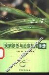 疾病诊断与治愈标准手册 封面