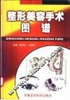 整形美容手术图谱 封面