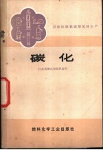 双加压流程碳酸氢氨生产  碳化 封面