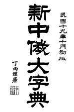 新中俄大字典 封面