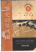历史的暴风雨 封面