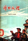 特别航程：前线民兵斗争故事 封面