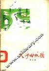 大沙田放歌 封面