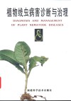 植物线虫病害诊断与治理 封面