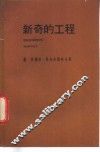 新奇的工程 封面