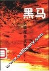 黑马  长篇报告文学 封面