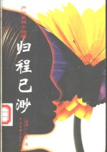 归程已渺 封面