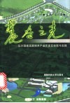 麓谷之光  长沙国家高新技术产业开发区创新与实践 封面