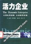 活力企业  从混乱到战略，从战略到实施 封面