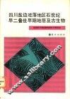 四川盐边哇落地区石炭纪-早二叠世早期地层及古生物 封面