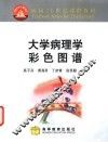 大学病理学彩色图谱 封面