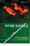 金矿找矿方法和技术 封面