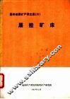 国外地质矿产译文选 封面
