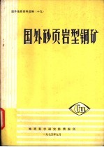 国外砂页岩型铜矿 封面