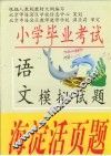 小学毕业考试模拟试题  语文 封面