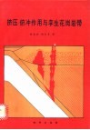 挤压-俯冲作用与孪生花岗岩带 封面