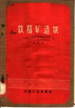 铁精矿造块 封面