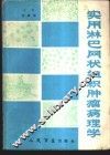实用淋巴网状组织肿瘤病理学 封面