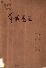 羊城丐王 封面