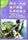 湖泊、水库高产养鱼实用新技术 封面