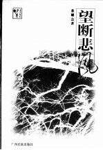 望断悲风 封面
