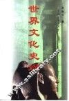 世界文化史纲 封面