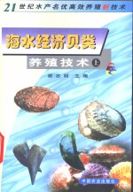 海水经济贝类养殖技术  上 封面
